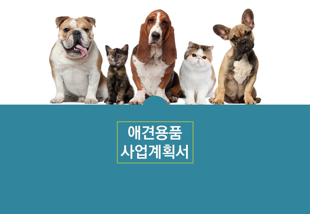 애견용품 사업계획서 PPT